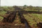 Peats first Walled (nine peats in a wall)