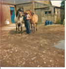 Robbie with ponies